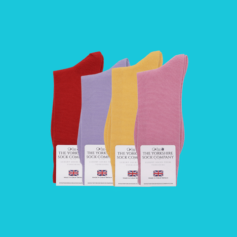 British-Made Duchy Everyday Merino Socks 4 pair light color gift bundle